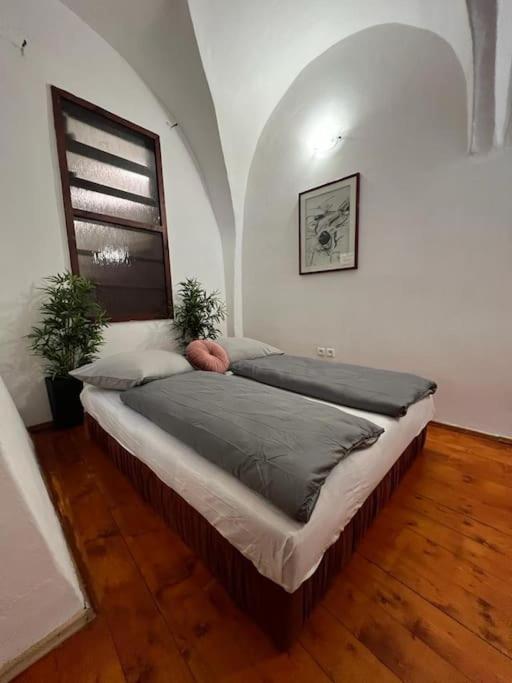 City Center Apartment バンスカー・ビストリツァ エクステリア 写真